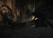 The Elder Scrolls V: Skyrim