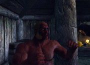 The Elder Scrolls V: Skyrim