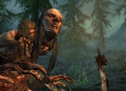 The Elder Scrolls V: Skyrim