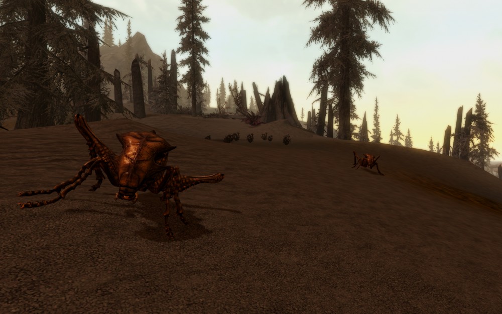 The Elder Scrolls V: Skyrim