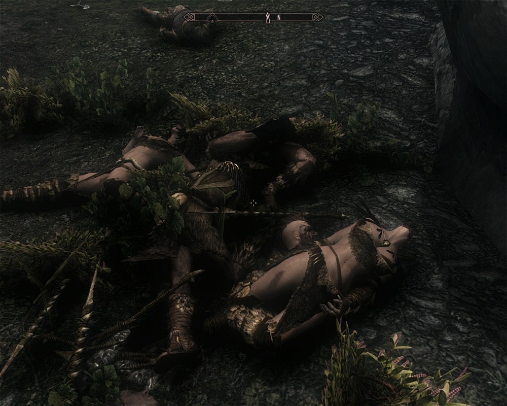 The Elder Scrolls V: Skyrim