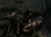 The Elder Scrolls V: Skyrim