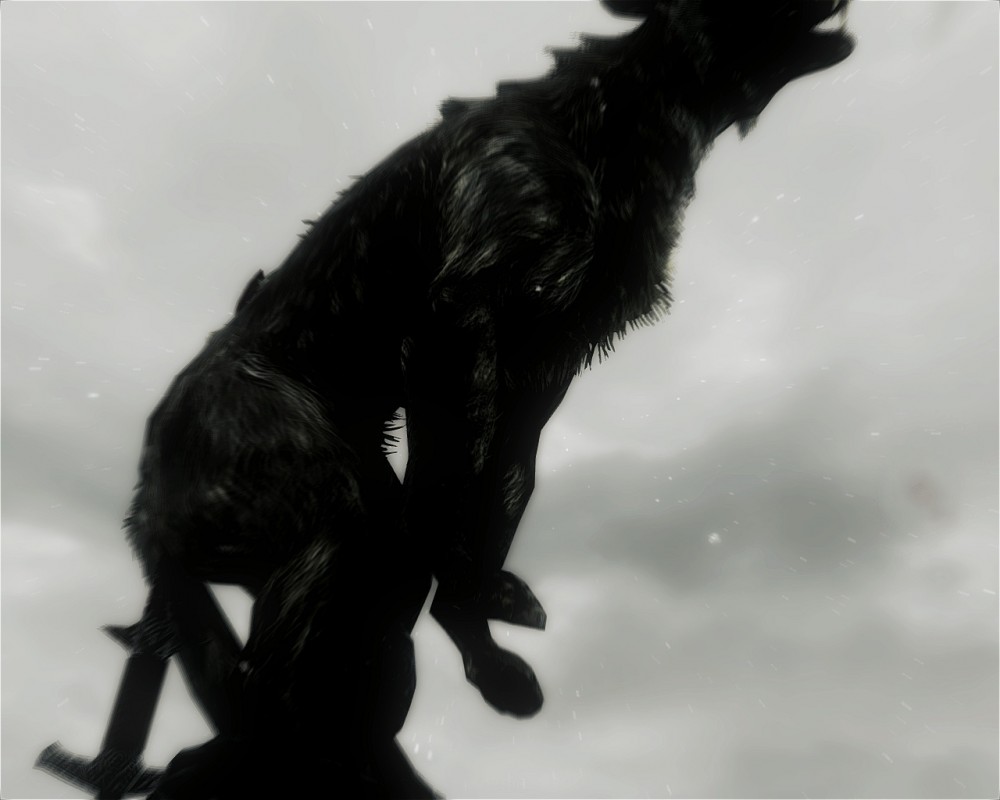 The Elder Scrolls V: Skyrim