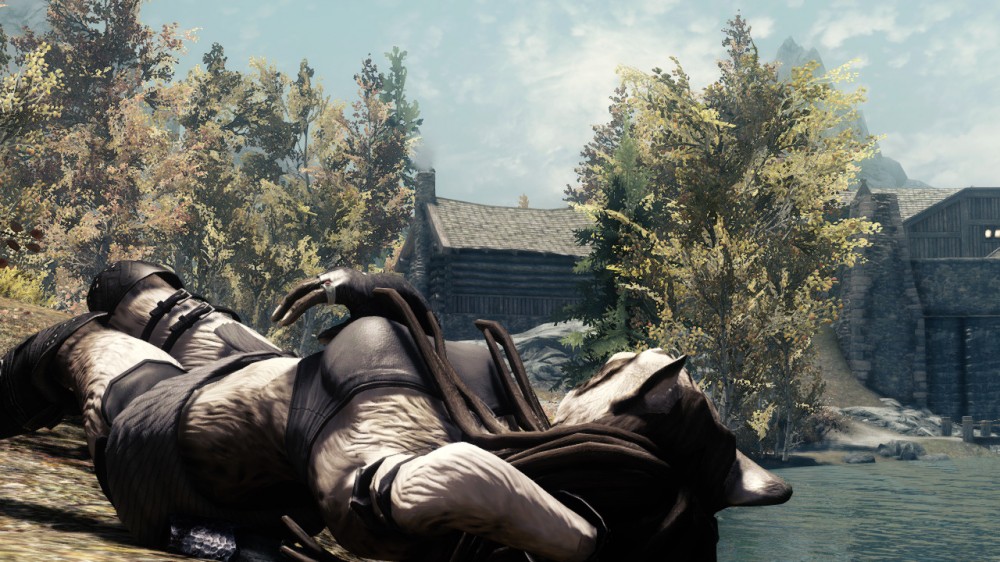 The Elder Scrolls V: Skyrim