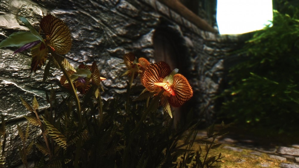 The Elder Scrolls V: Skyrim