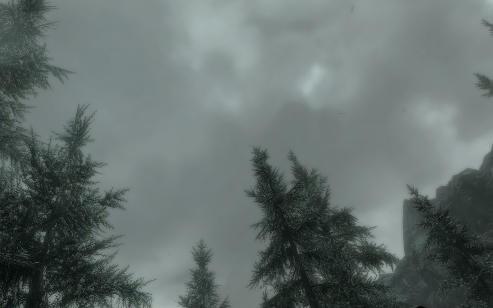 The Elder Scrolls V: Skyrim