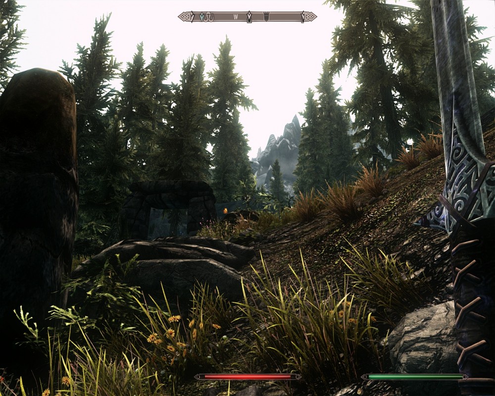 The Elder Scrolls V: Skyrim