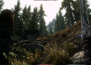 The Elder Scrolls V: Skyrim