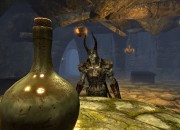 The Elder Scrolls V: Skyrim