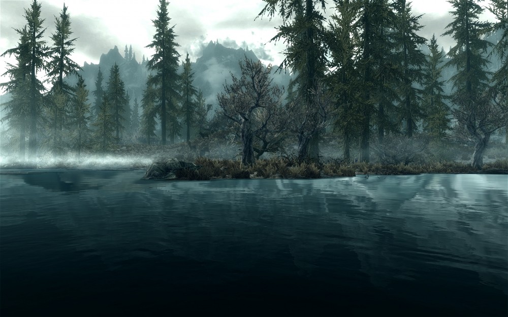 The Elder Scrolls V: Skyrim