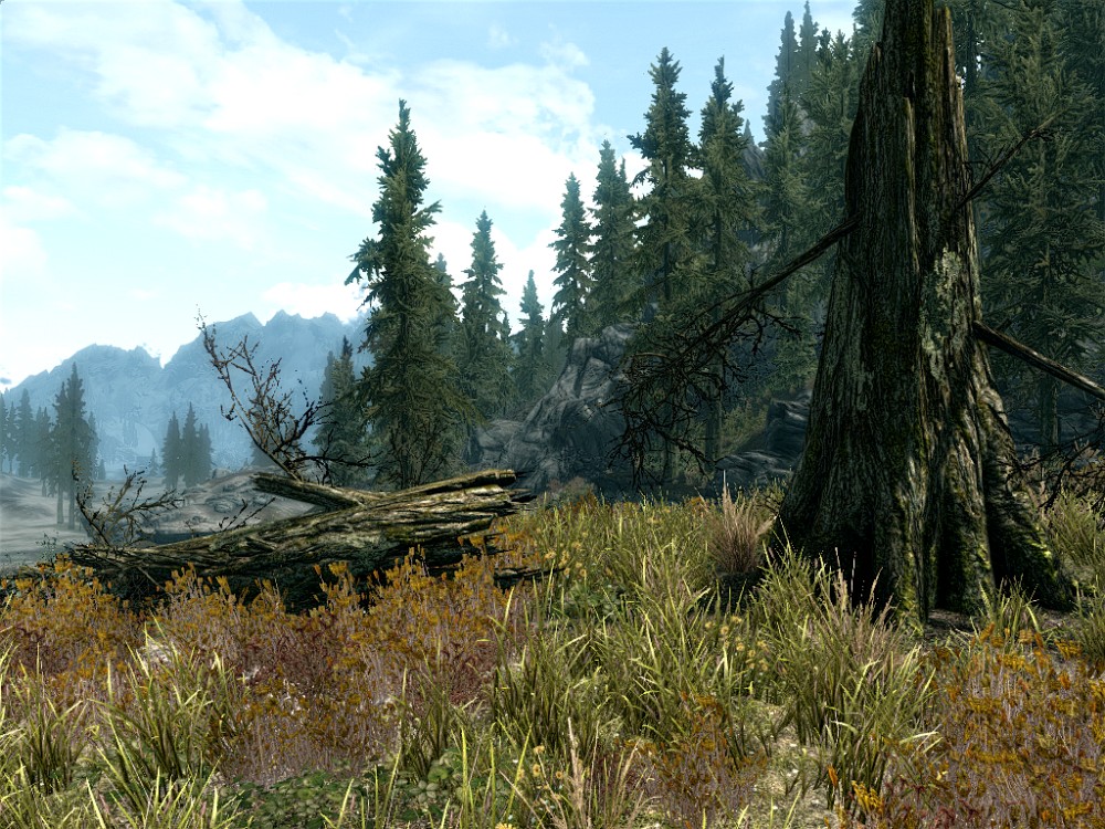 The Elder Scrolls V: Skyrim