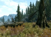 The Elder Scrolls V: Skyrim