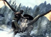 The Elder Scrolls V: Skyrim