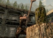 The Elder Scrolls V: Skyrim