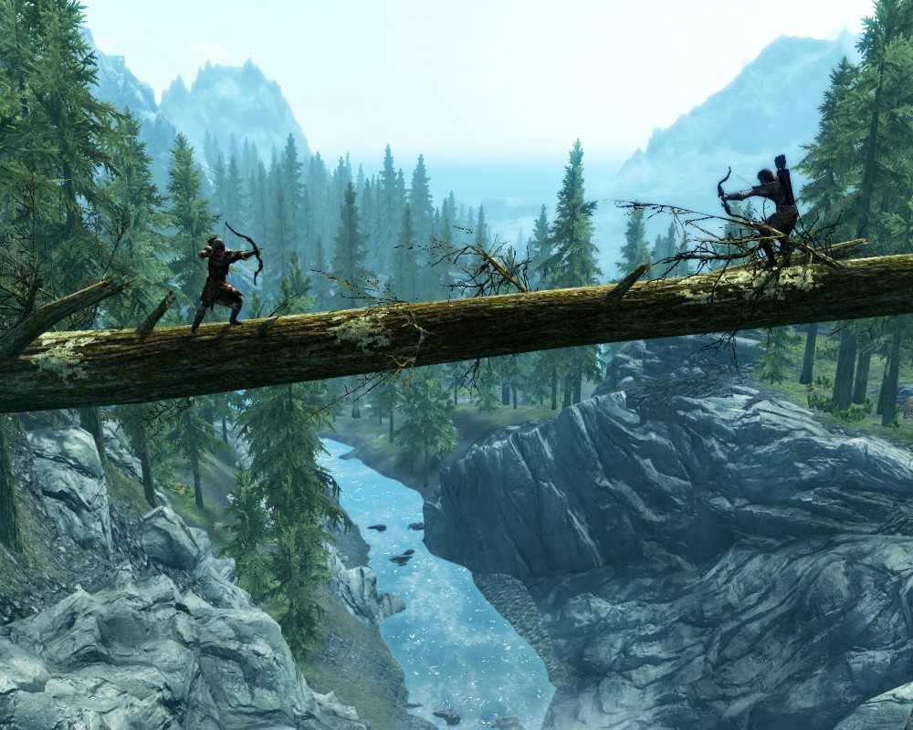 The Elder Scrolls V: Skyrim