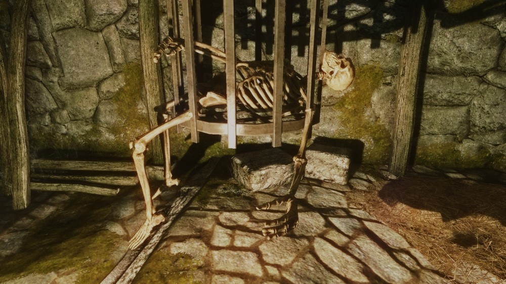 The Elder Scrolls V: Skyrim