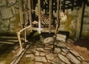 The Elder Scrolls V: Skyrim