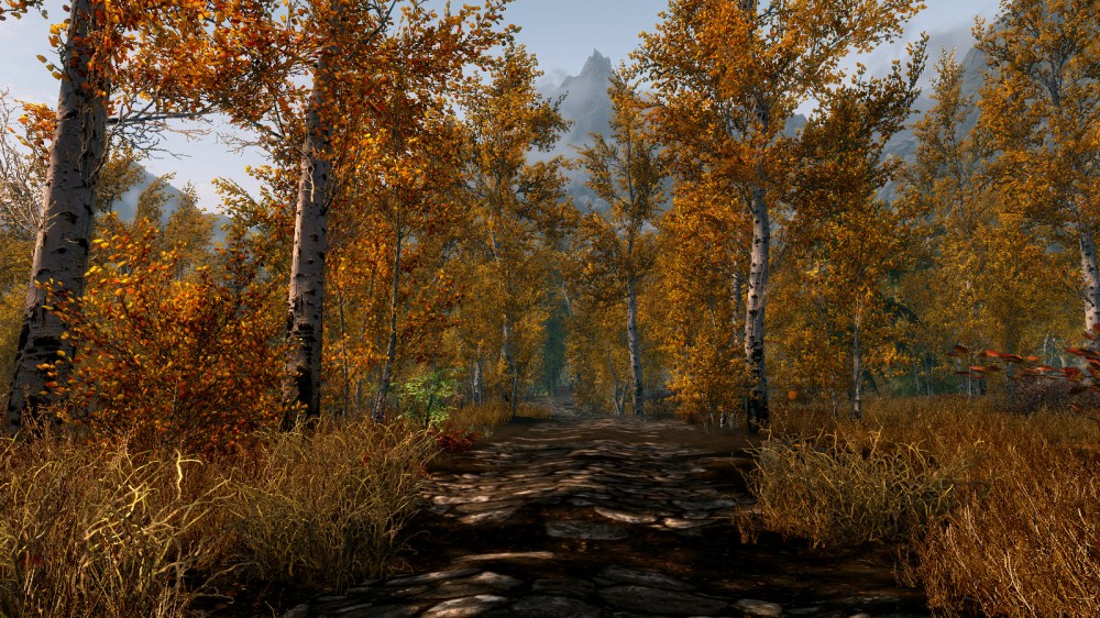 The Elder Scrolls V: Skyrim
