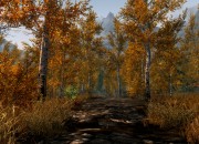 The Elder Scrolls V: Skyrim