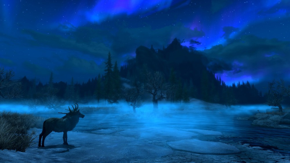 The Elder Scrolls V: Skyrim