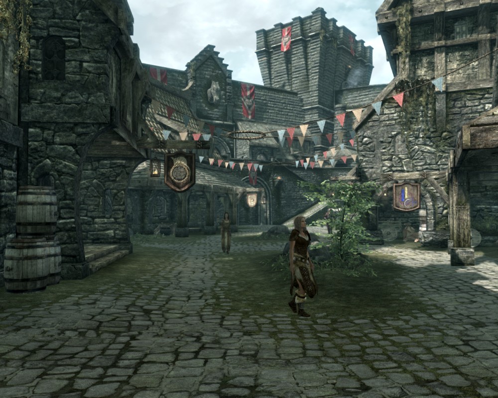 The Elder Scrolls V: Skyrim