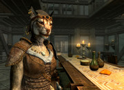 The Elder Scrolls V: Skyrim