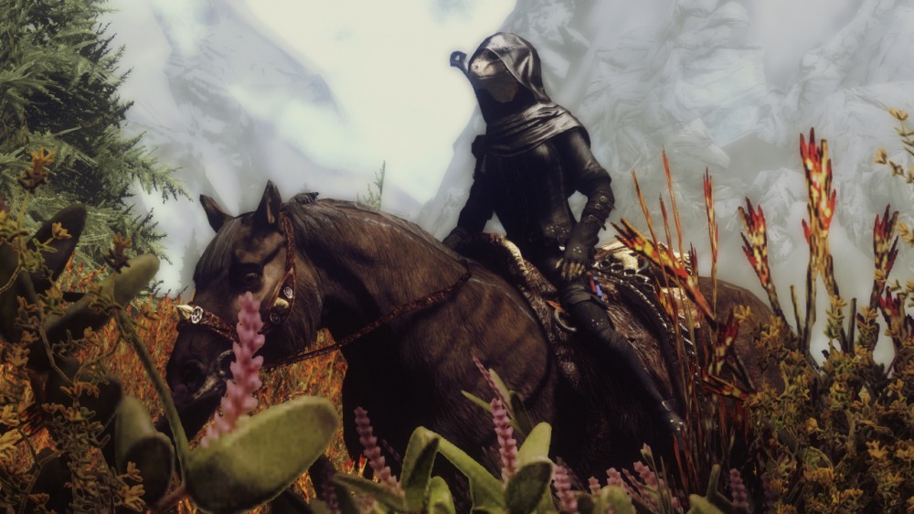 The Elder Scrolls V: Skyrim