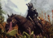 The Elder Scrolls V: Skyrim