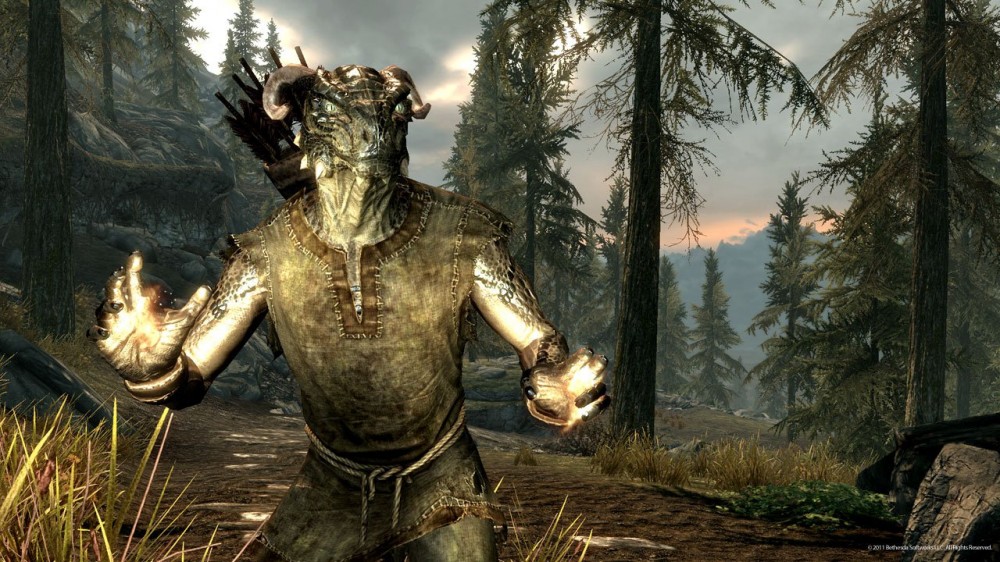 The Elder Scrolls V: Skyrim