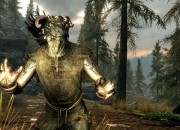 The Elder Scrolls V: Skyrim
