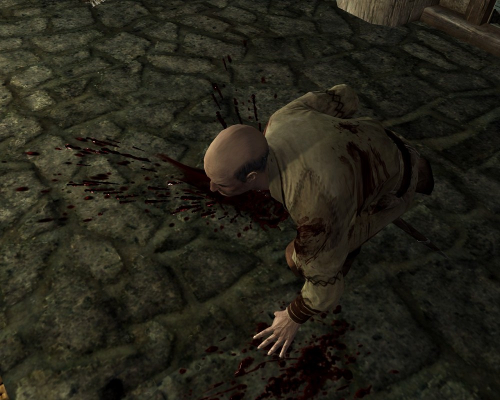 The Elder Scrolls V: Skyrim