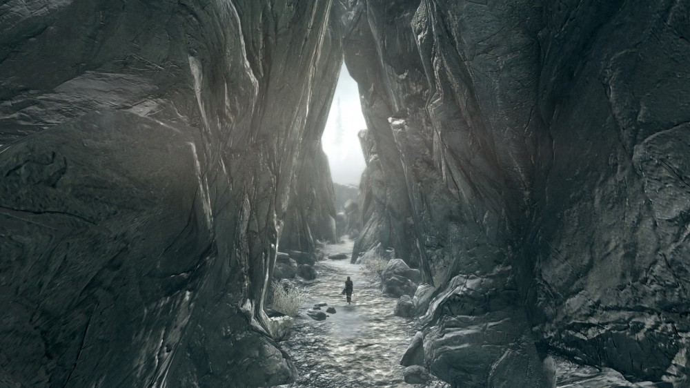 The Elder Scrolls V: Skyrim