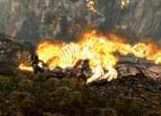The Elder Scrolls V: Skyrim
