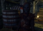 The Elder Scrolls V: Skyrim