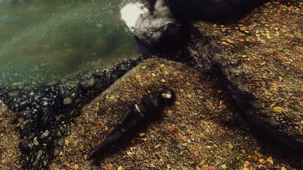 The Elder Scrolls V: Skyrim