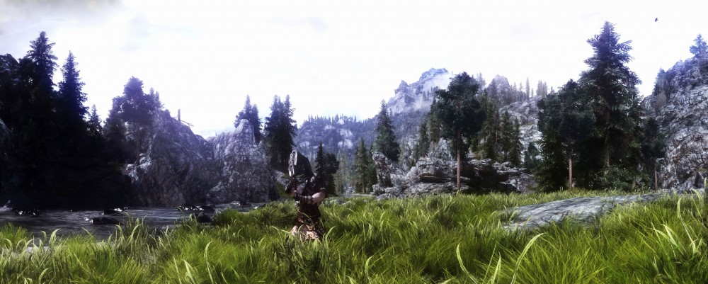 The Elder Scrolls V: Skyrim