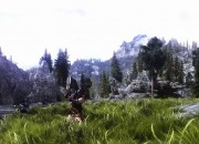 The Elder Scrolls V: Skyrim