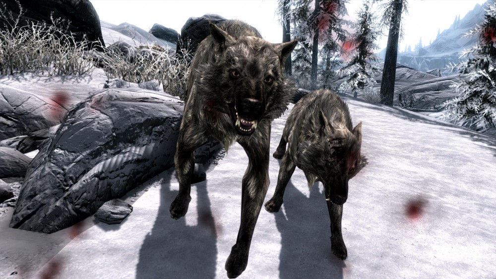 The Elder Scrolls V: Skyrim