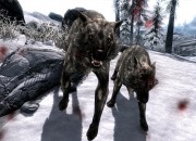 The Elder Scrolls V: Skyrim