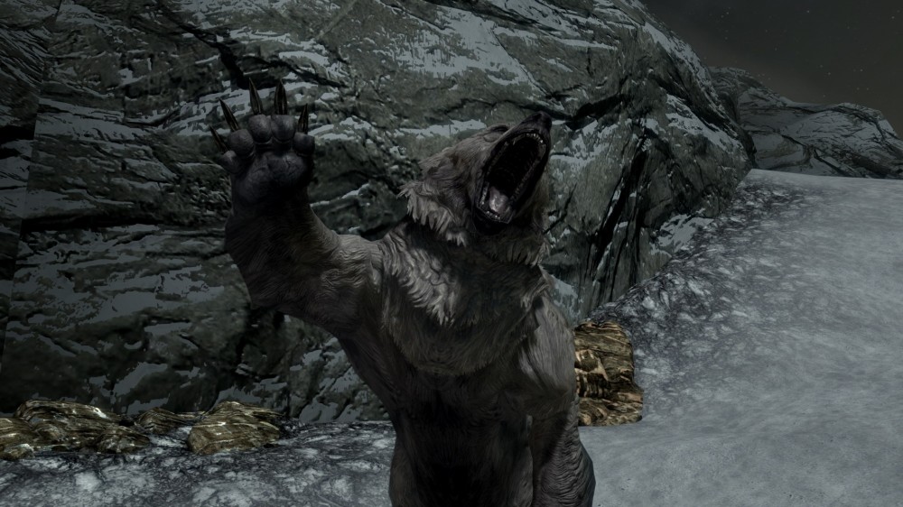 The Elder Scrolls V: Skyrim