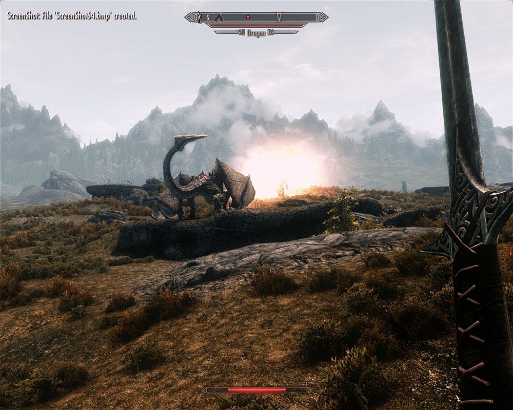 The Elder Scrolls V: Skyrim