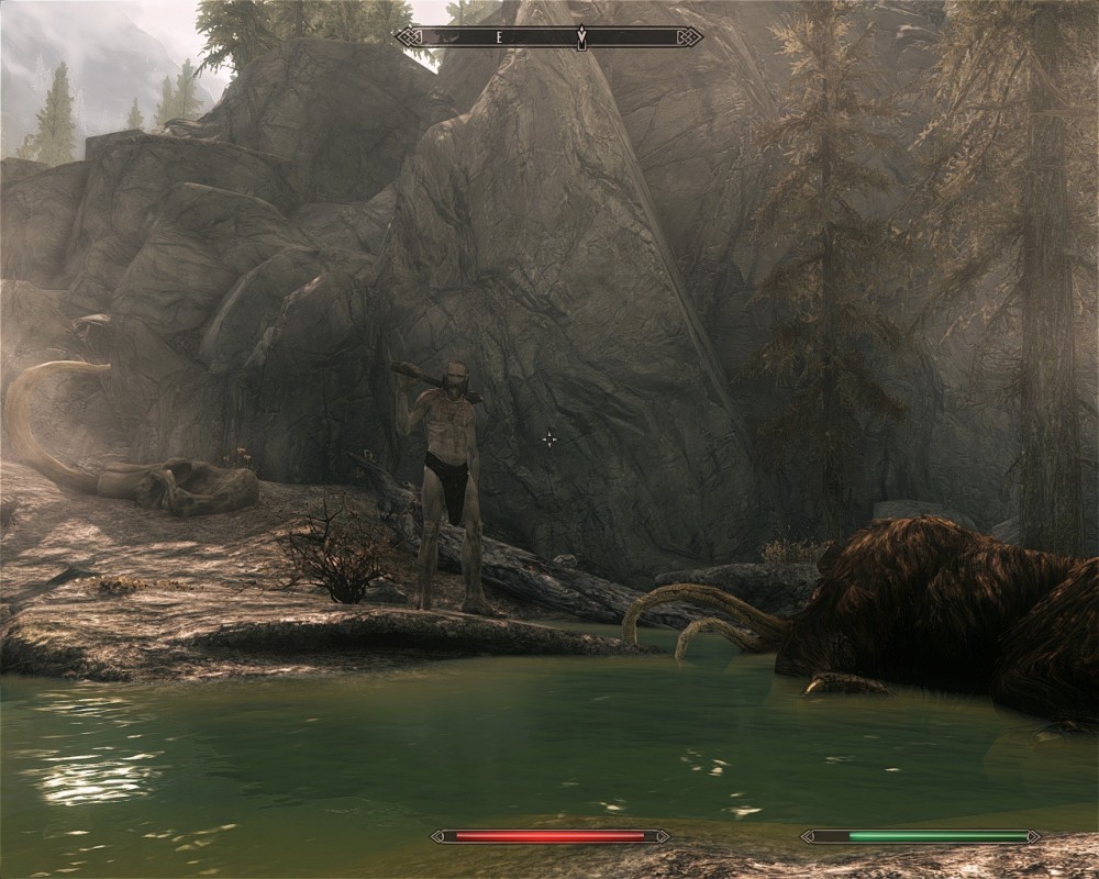 The Elder Scrolls V: Skyrim
