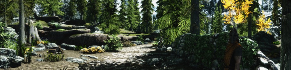 The Elder Scrolls V: Skyrim
