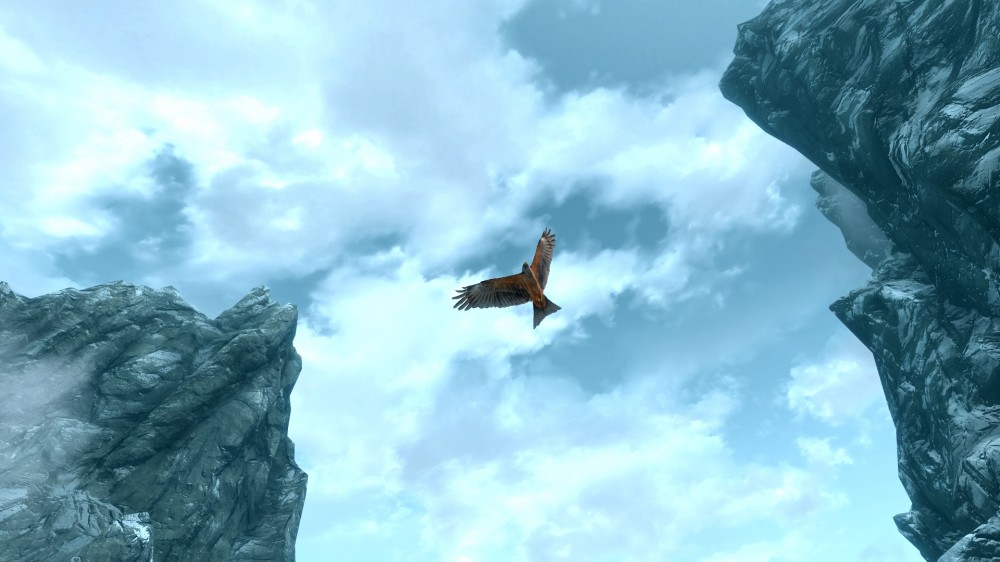 The Elder Scrolls V: Skyrim