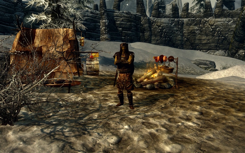 The Elder Scrolls V: Skyrim