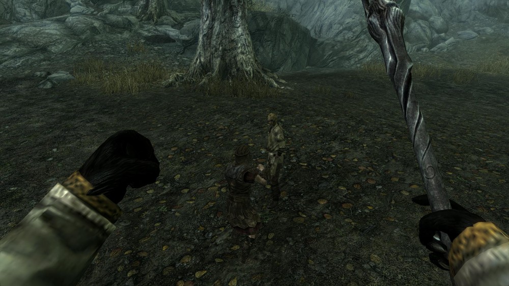 The Elder Scrolls V: Skyrim