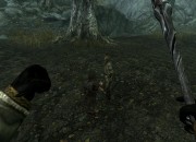 The Elder Scrolls V: Skyrim