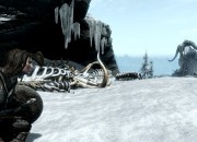 The Elder Scrolls V: Skyrim