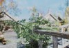 The Elder Scrolls V: Skyrim