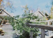 The Elder Scrolls V: Skyrim